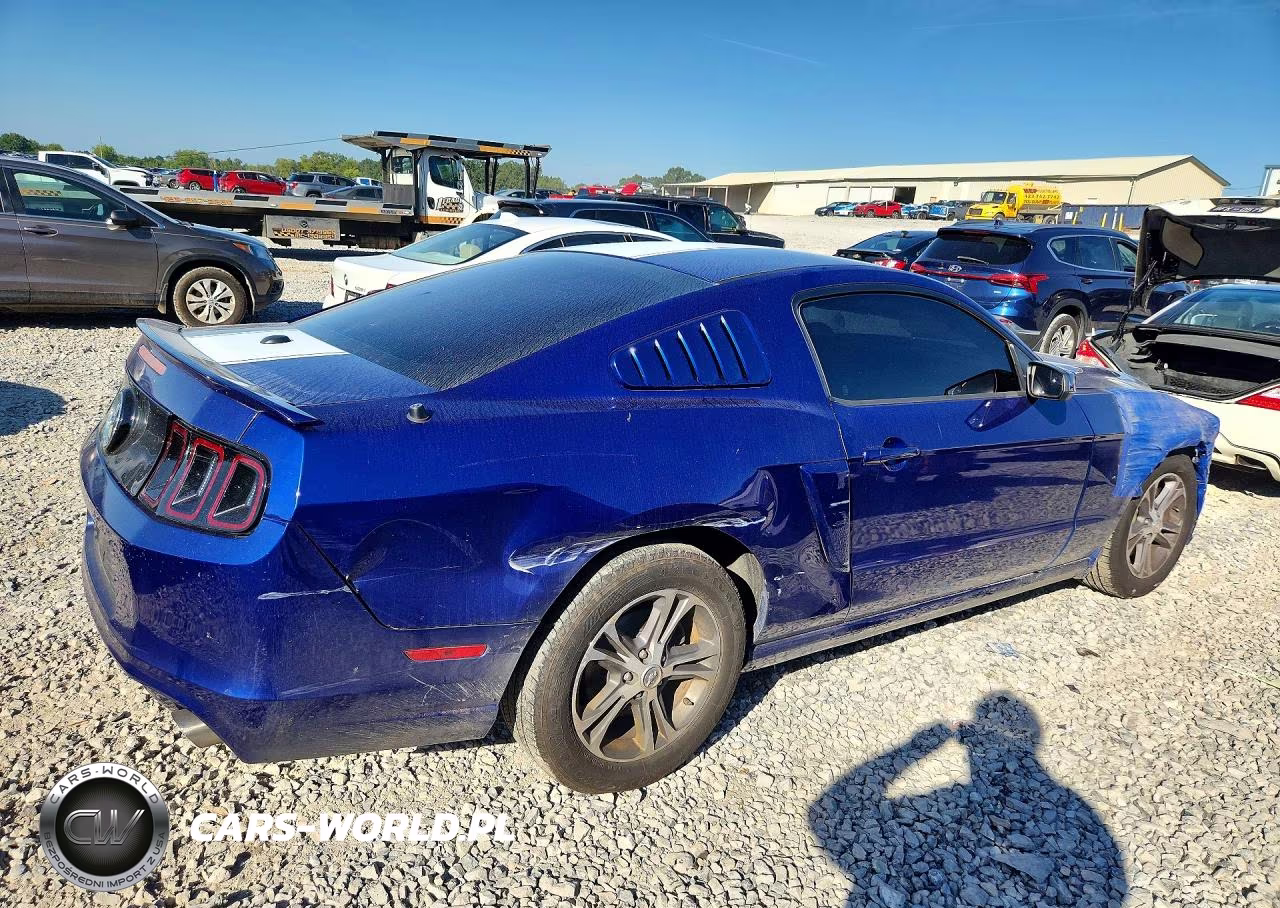 2014 Ford Mustang VIN:1ZVBP8AMXE5308790 - 3