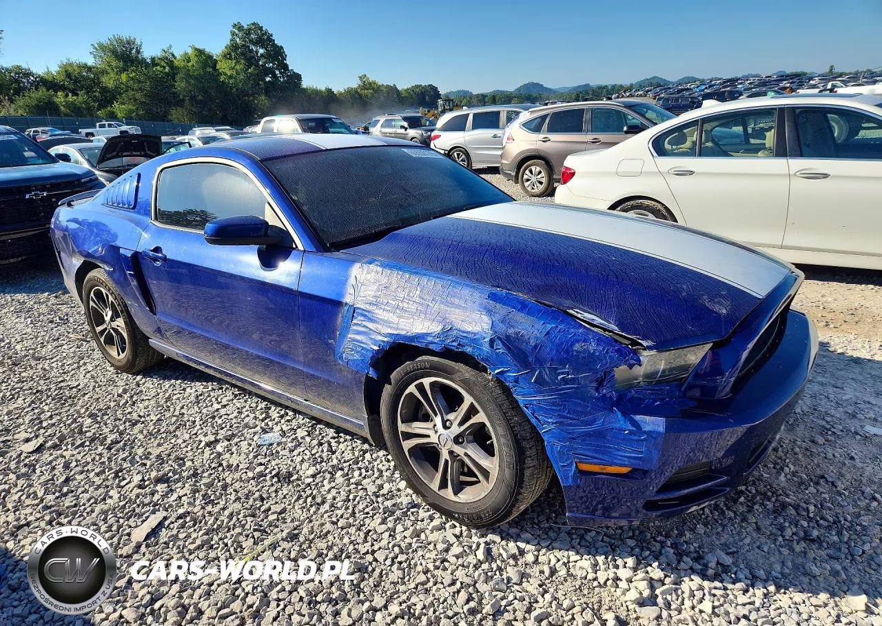 2014 Ford Mustang VIN:1ZVBP8AMXE5308790 - 4