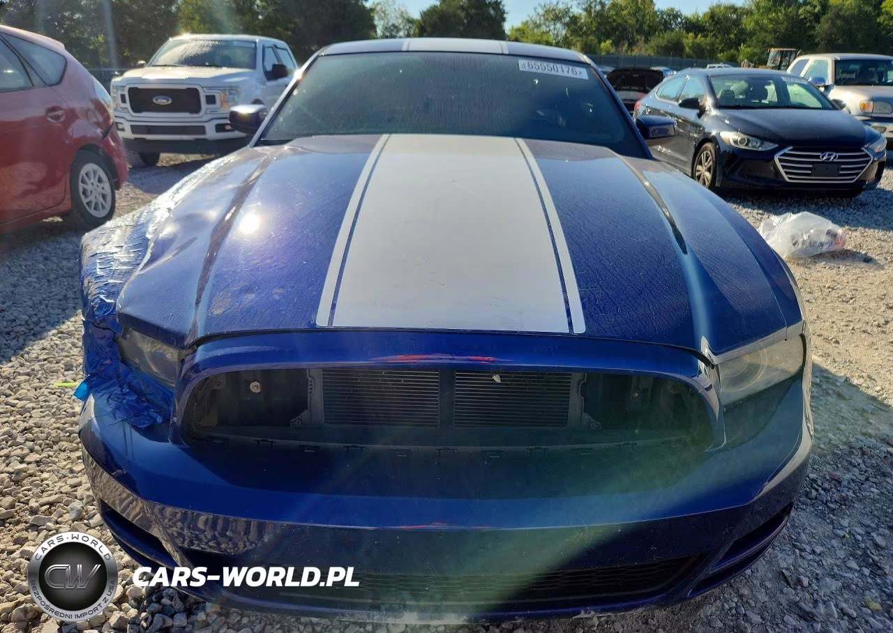 2014 Ford Mustang VIN:1ZVBP8AMXE5308790 - 5