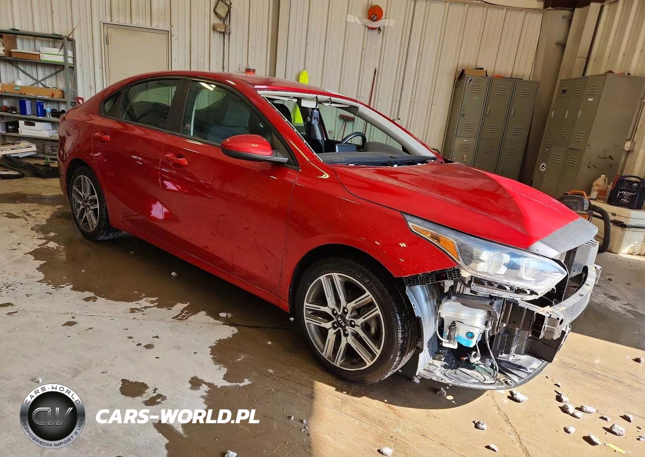 2019 Kia Forte S VIN:3KPF34AD8KE027452 - 4