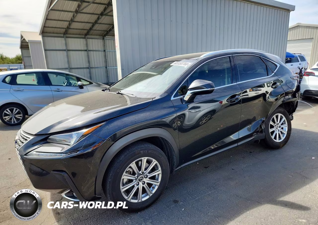 2021 Lexus Nx 300 Base VIN:JTJDARBZ2M5033425 - 1