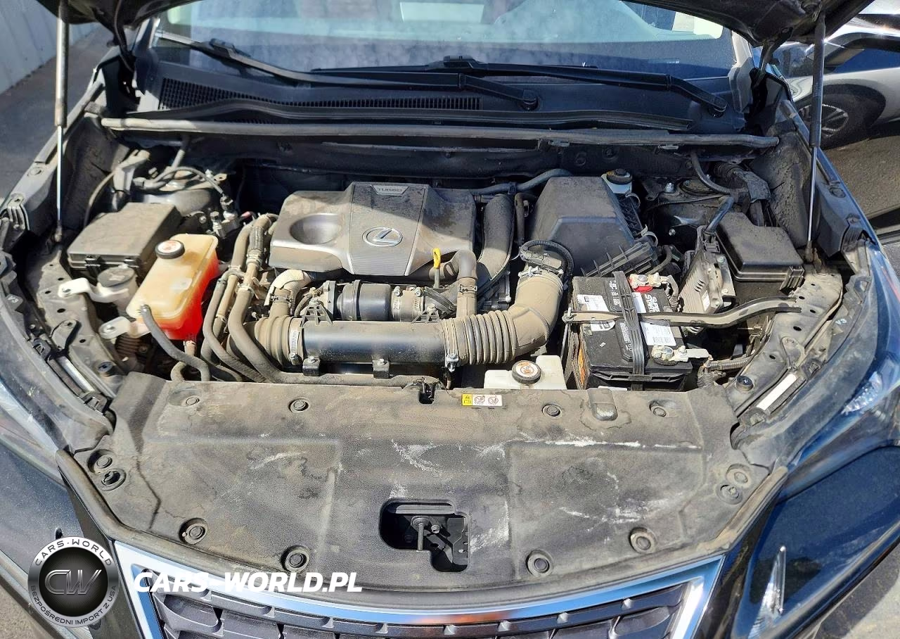 2021 Lexus Nx 300 Base VIN:JTJDARBZ2M5033425 - 12