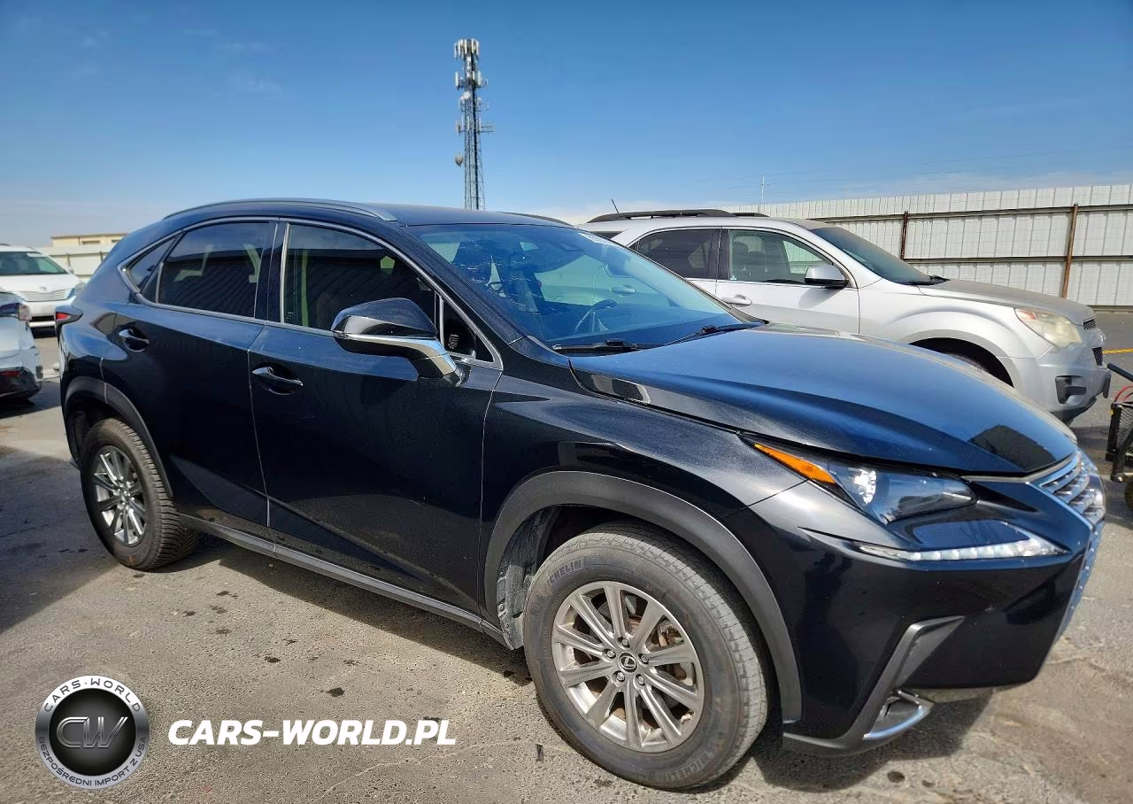 2021 Lexus Nx 300 Base VIN:JTJDARBZ2M5033425 - 4