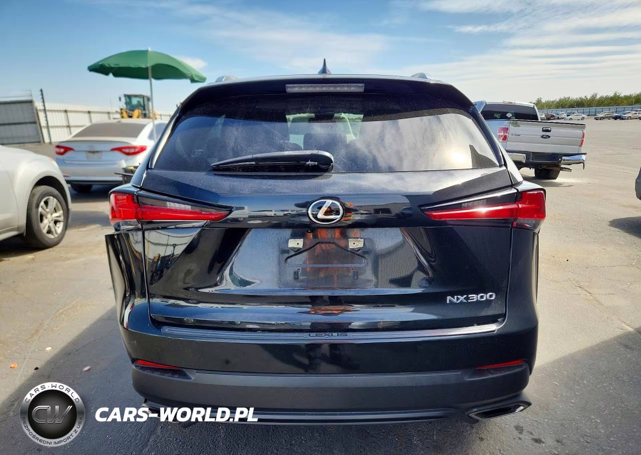 2021 Lexus Nx 300 Base VIN:JTJDARBZ2M5033425 - 6