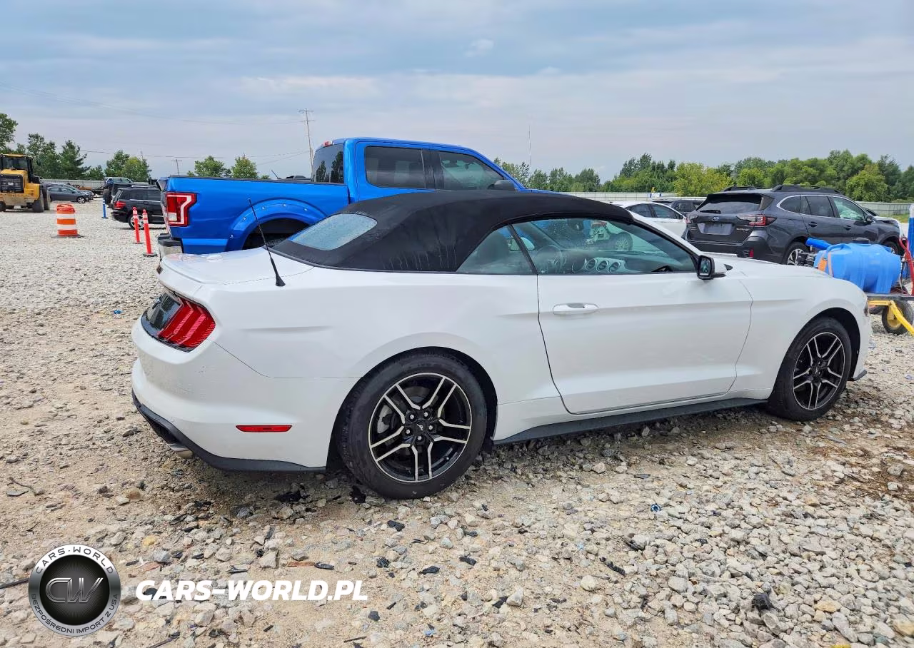 2020 Ford Mustang VIN:1FATP8UH5L5112927 - 3