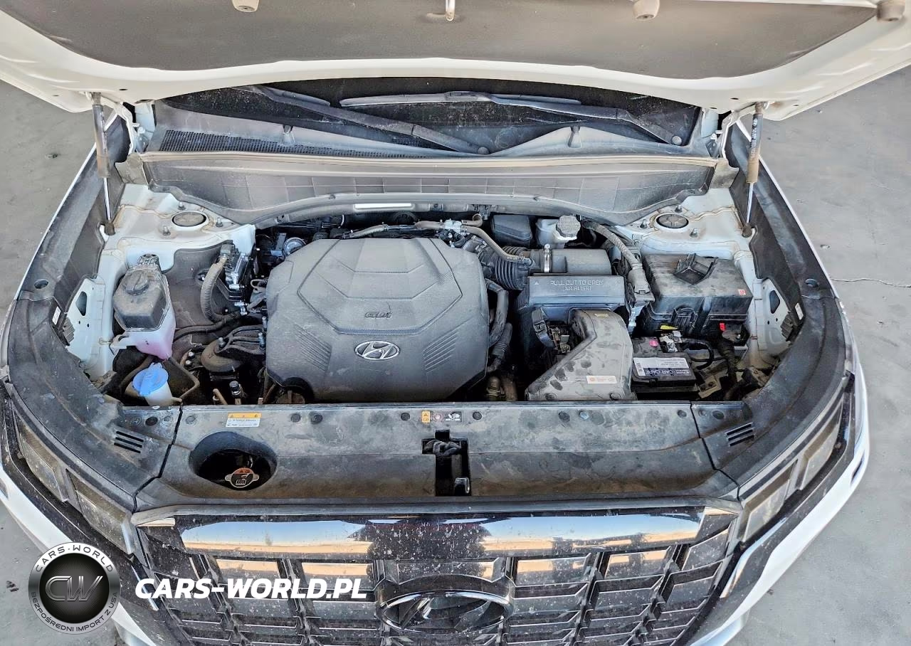 2024 Hyundai Palisade Sel Premium VIN:KM8R44GE2RU693918 - 11