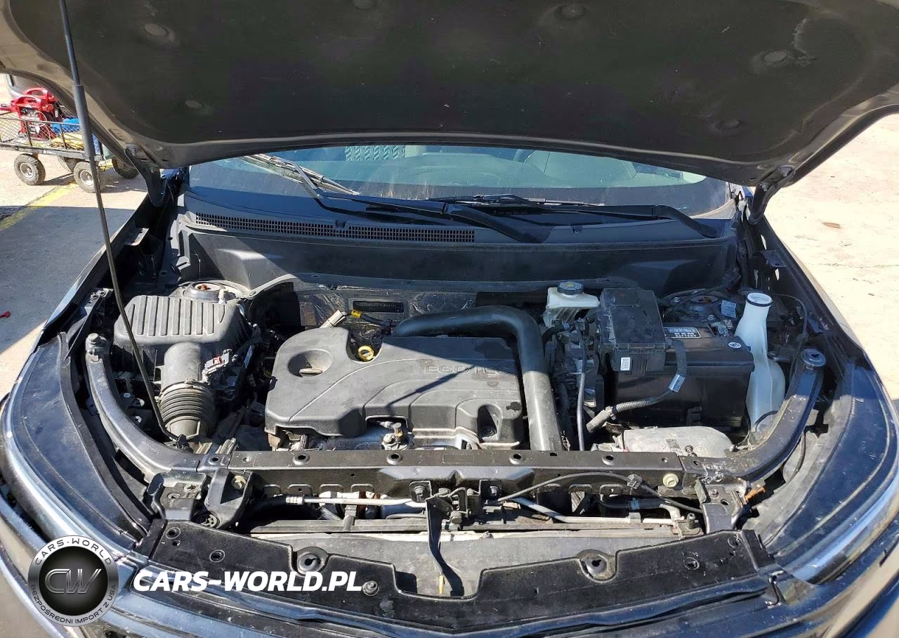 2023 Chevrolet Equinox Lt VIN:3GNAXKEG0PS161217 - 12
