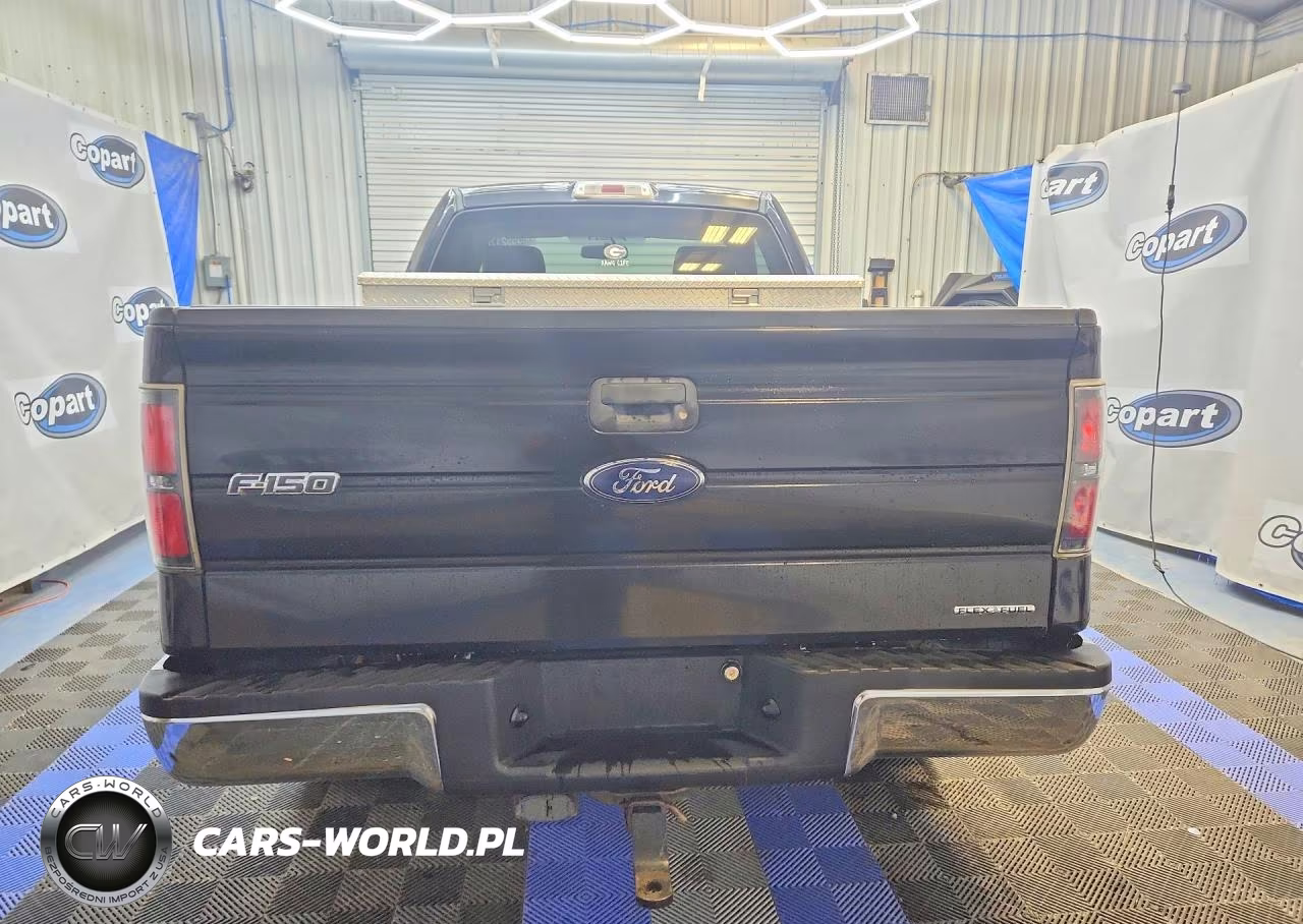 2012 Ford F150 VIN:1FTMF1EF2CFC48545 - 6
