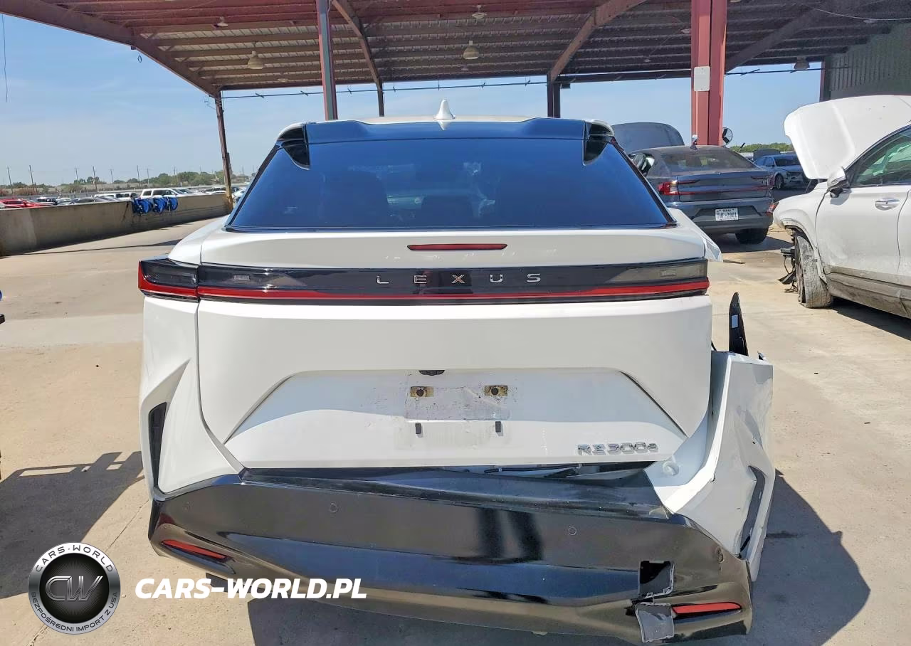 2024 Lexus Rz 300E VIN:JTJABABB7RA006966 - 6