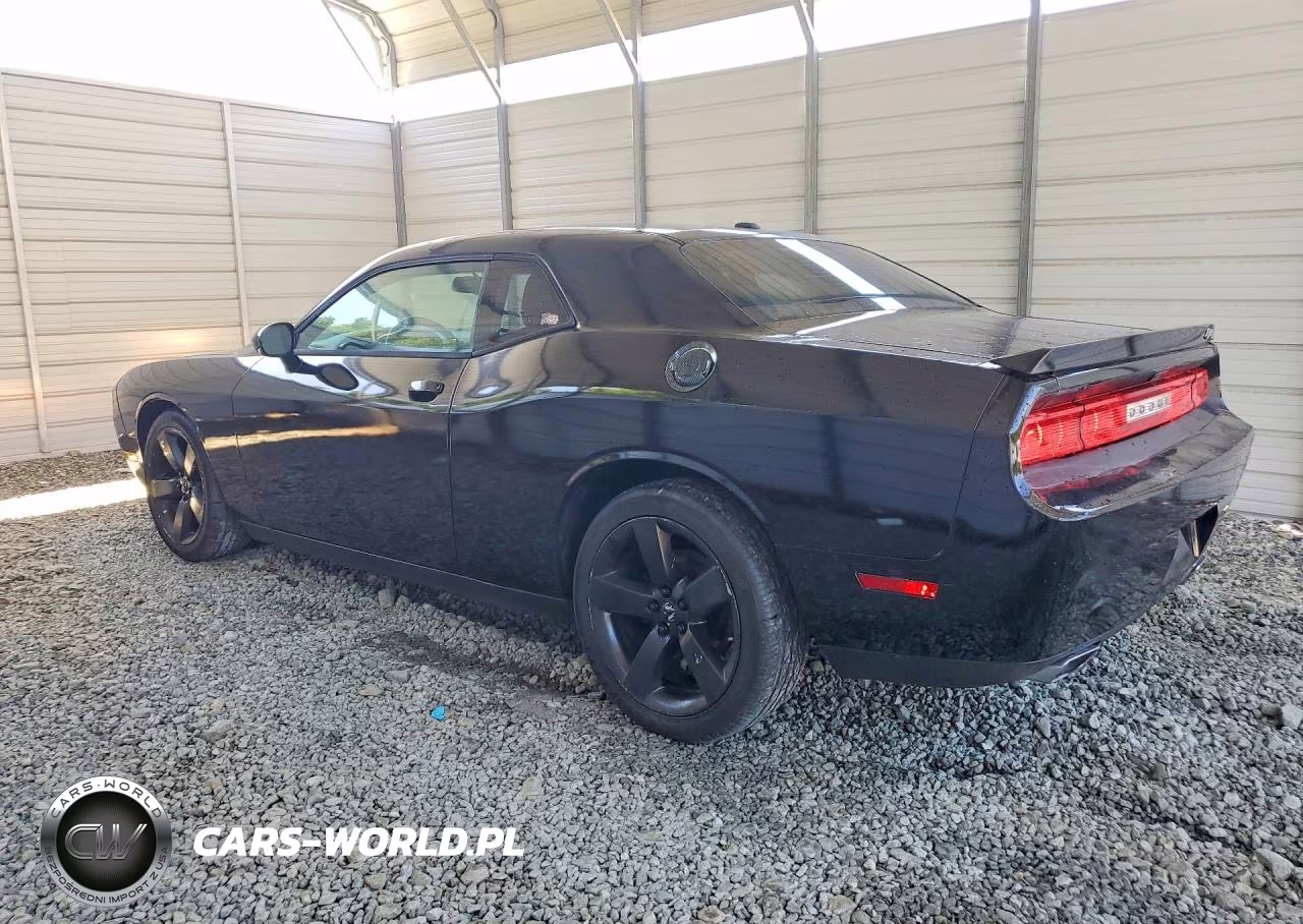2013 Dodge Challenger Sxt VIN:2C3CDYAG4DH650807 - 2