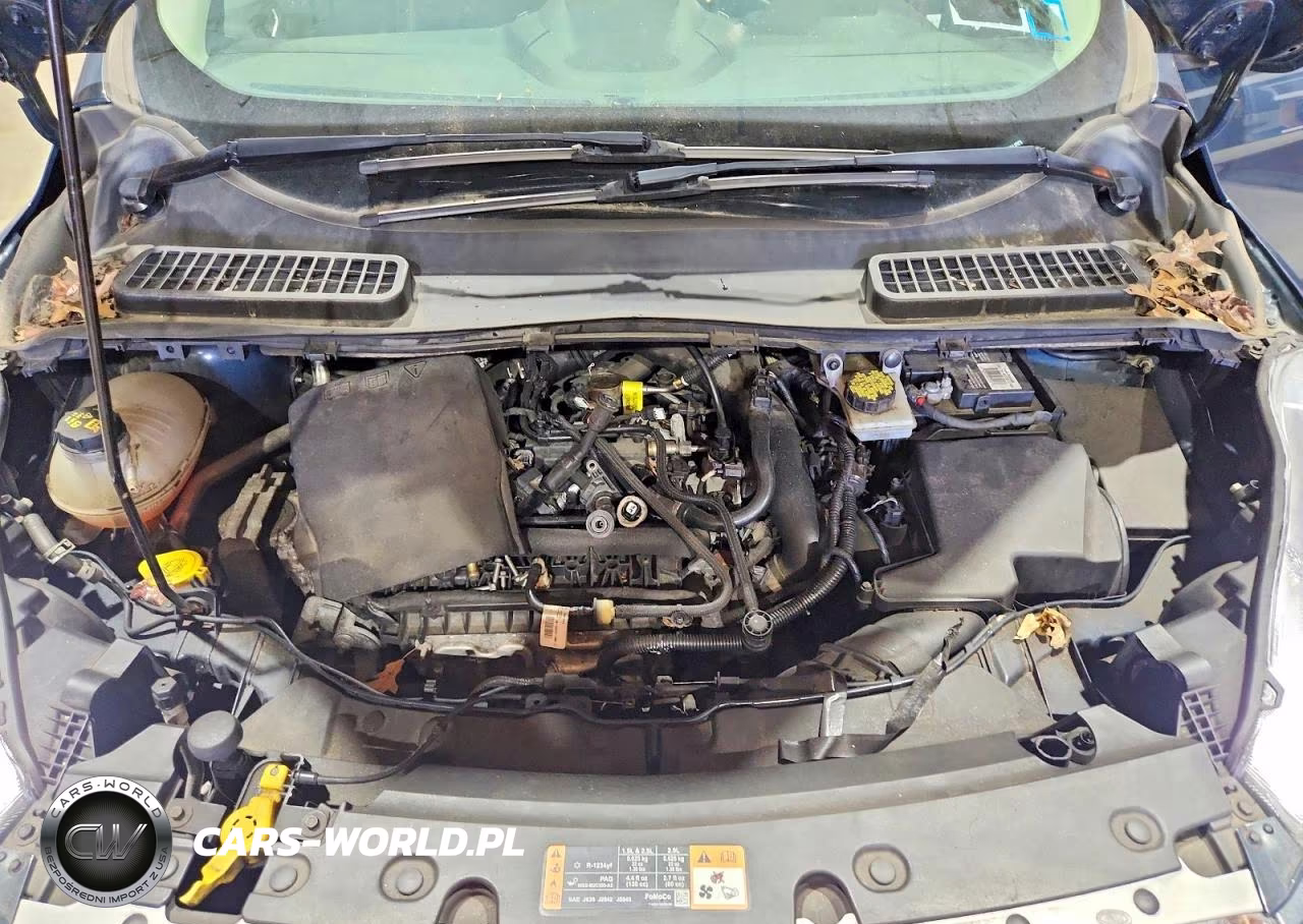 2019 Ford Escape Se VIN:1FMCU0GDXKUB30904 - 12