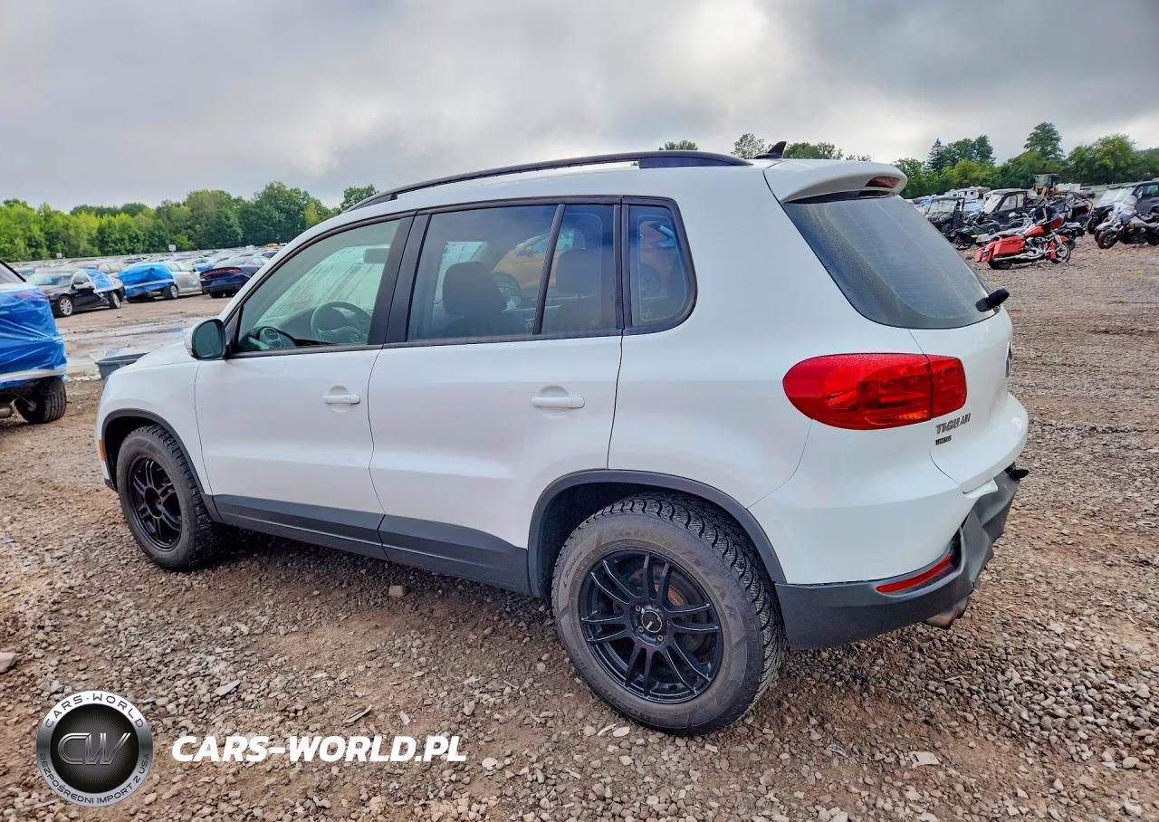2017 Volkswagen Tiguan S VIN:WVGBV7AX7HK047892 - 2