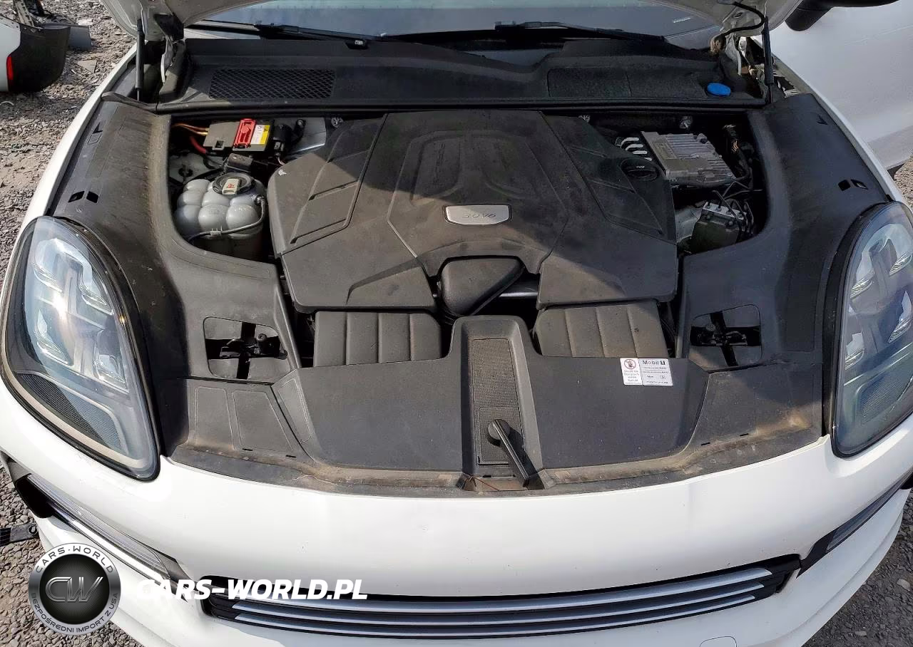 2020 Porsche Cayenne VIN:WP1AA2AY4LDA04386 - 12