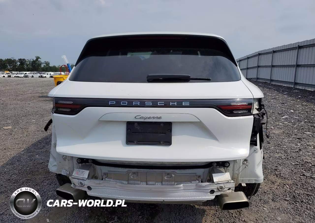 2020 Porsche Cayenne VIN:WP1AA2AY4LDA04386 - 6