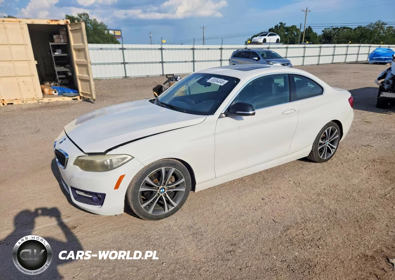 2014 BMW 228 I VIN:WBA1F5C59EV246060 - 1