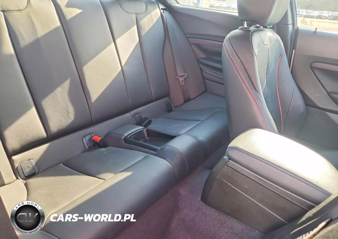 2014 BMW 228 I VIN:WBA1F5C59EV246060 - 10