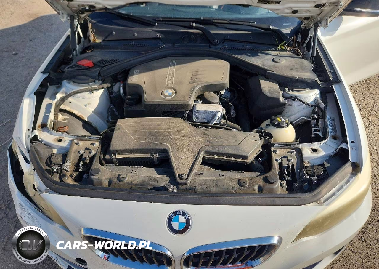2014 BMW 228 I VIN:WBA1F5C59EV246060 - 11