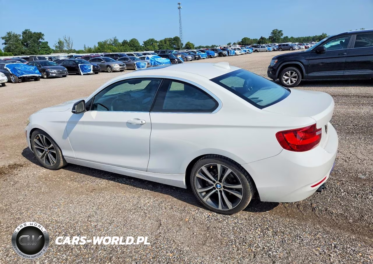 2014 BMW 228 I VIN:WBA1F5C59EV246060 - 2