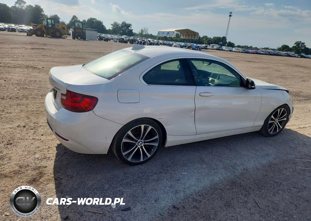 2014 BMW 228 I VIN:WBA1F5C59EV246060 - 3