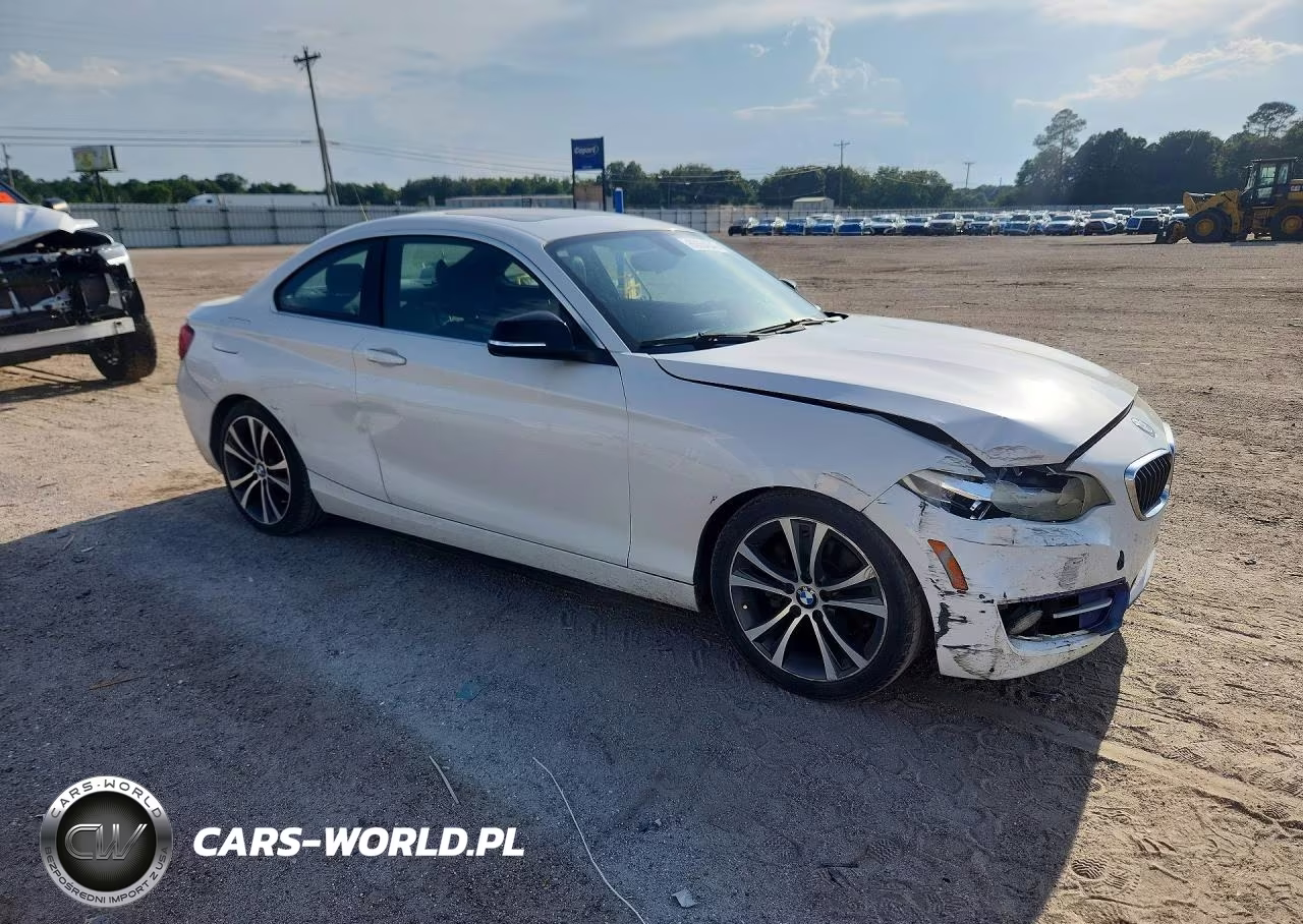 2014 BMW 228 I VIN:WBA1F5C59EV246060 - 4