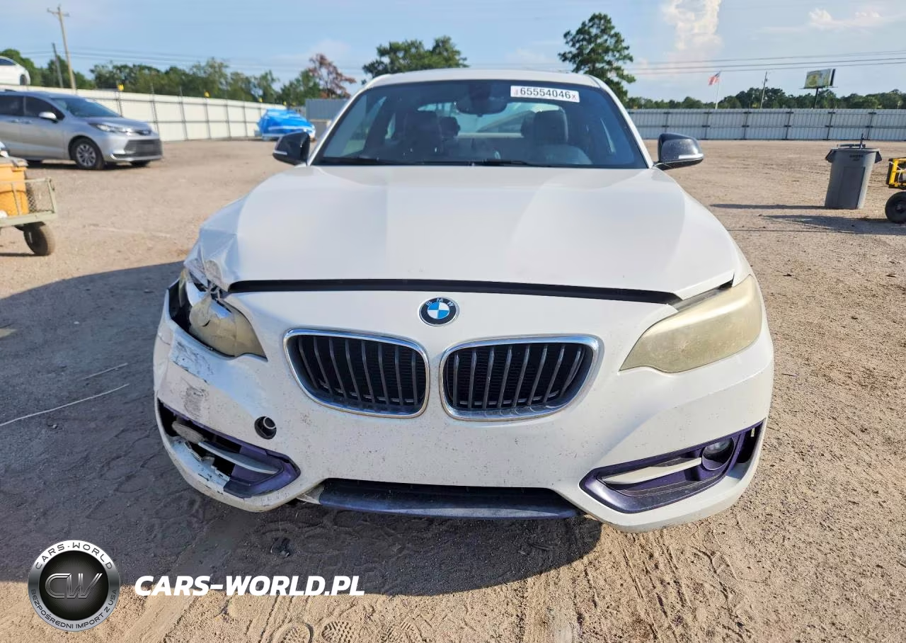 2014 BMW 228 I VIN:WBA1F5C59EV246060 - 5