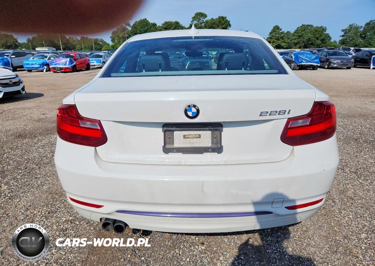 2014 BMW 228 I VIN:WBA1F5C59EV246060 - 6