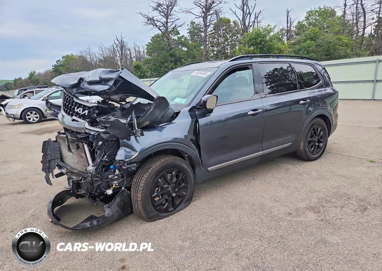 2023 Kia Telluride Sx-Prestige X-Pro VIN:5XYP5DGC6PG339583 - 1