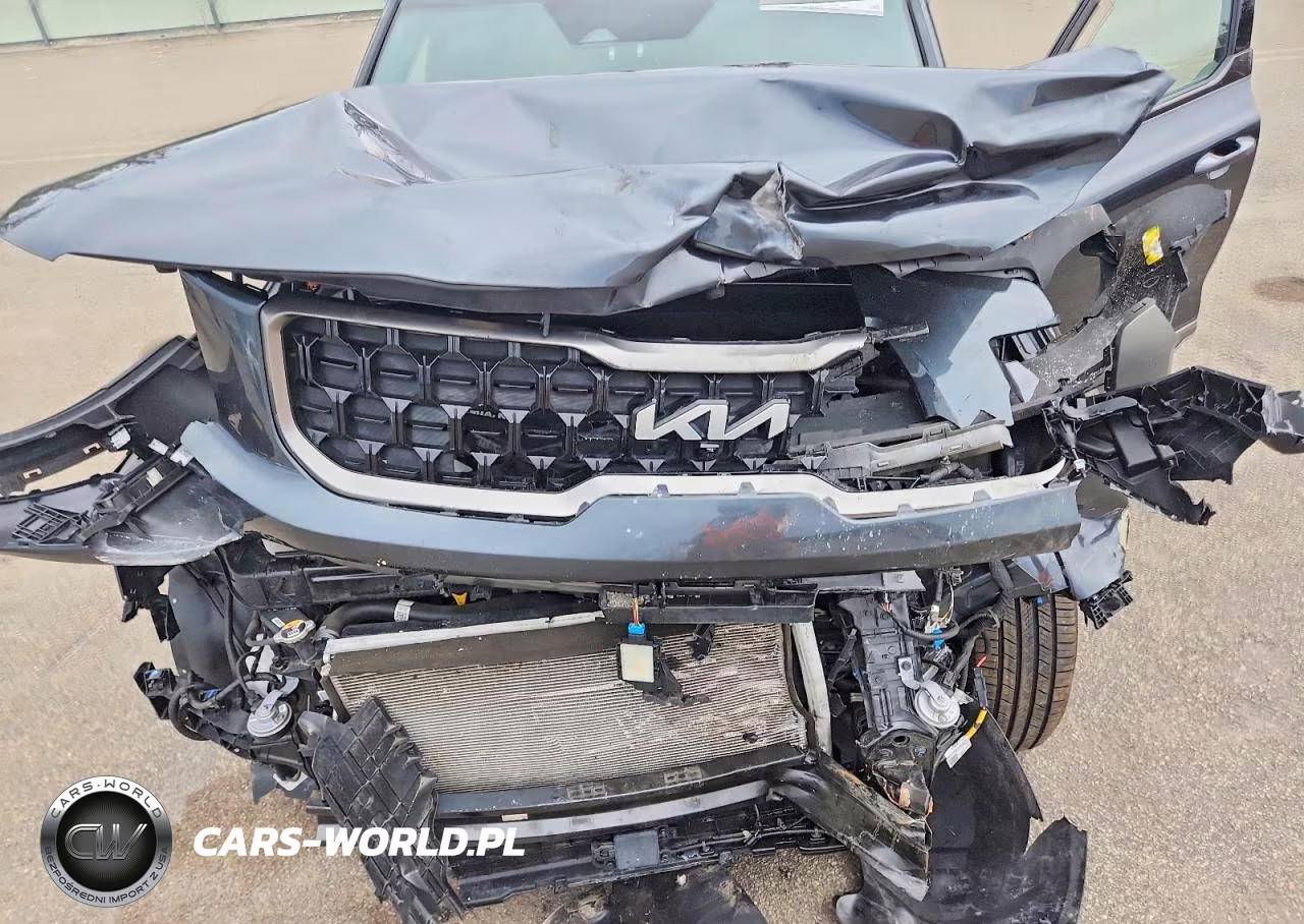 2023 Kia Telluride Sx-Prestige X-Pro VIN:5XYP5DGC6PG339583 - 12