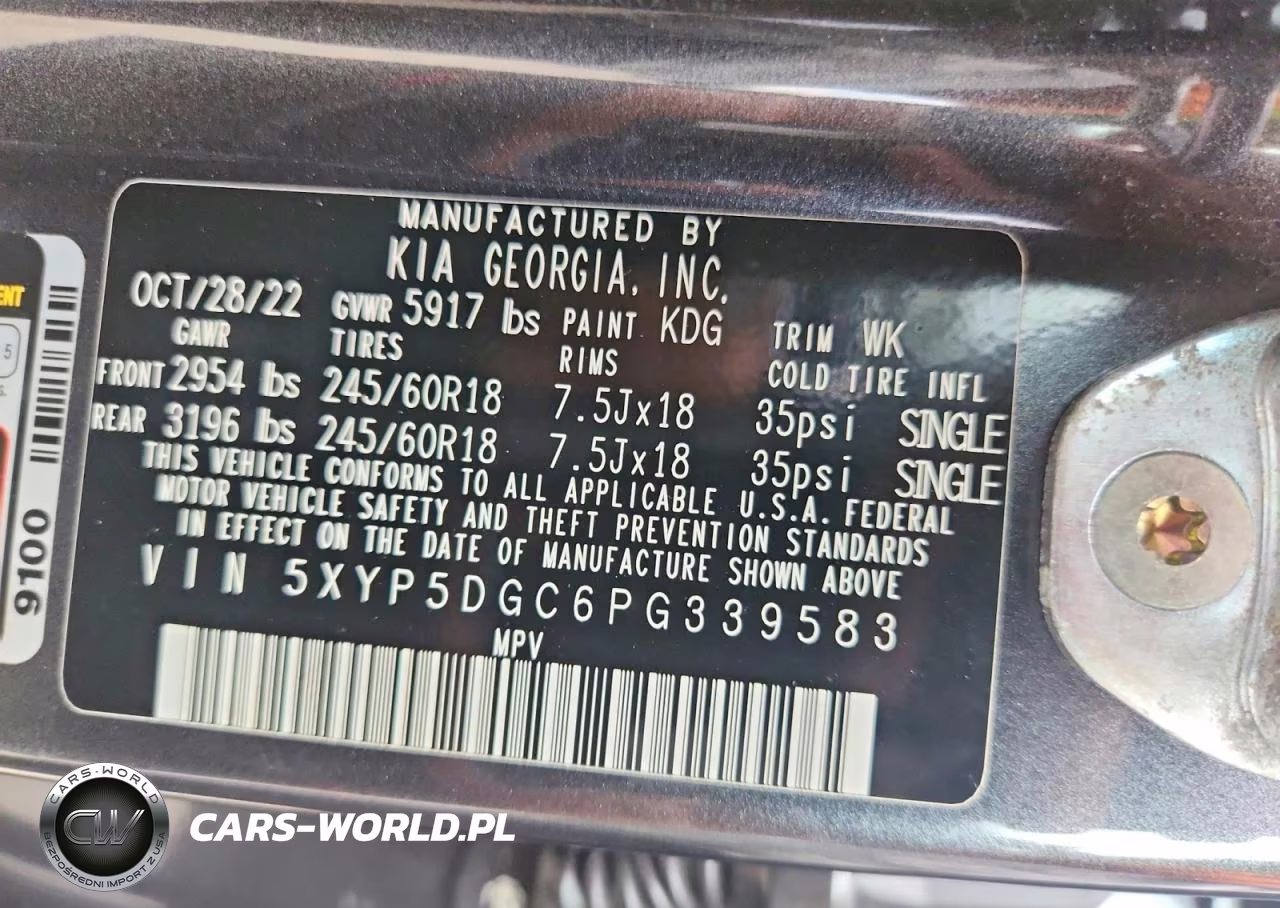 2023 Kia Telluride Sx-Prestige X-Pro VIN:5XYP5DGC6PG339583 - 13