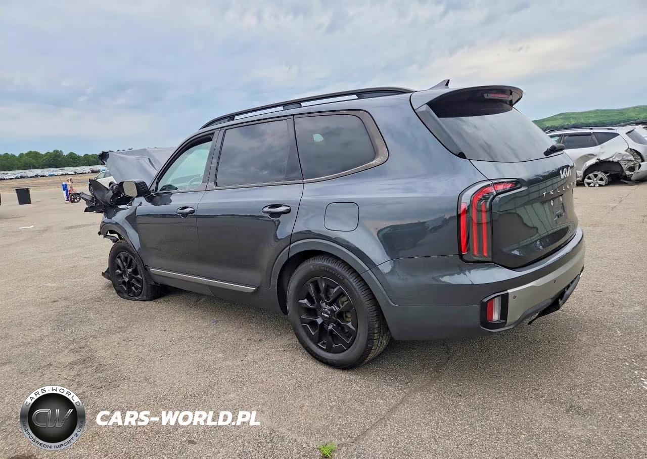 2023 Kia Telluride Sx-Prestige X-Pro VIN:5XYP5DGC6PG339583 - 2