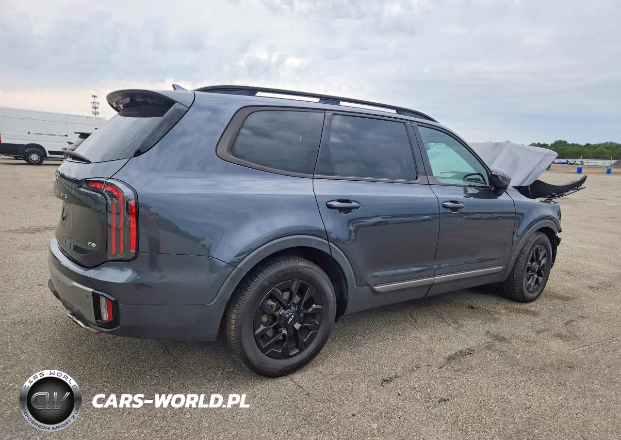 2023 Kia Telluride Sx-Prestige X-Pro VIN:5XYP5DGC6PG339583 - 3