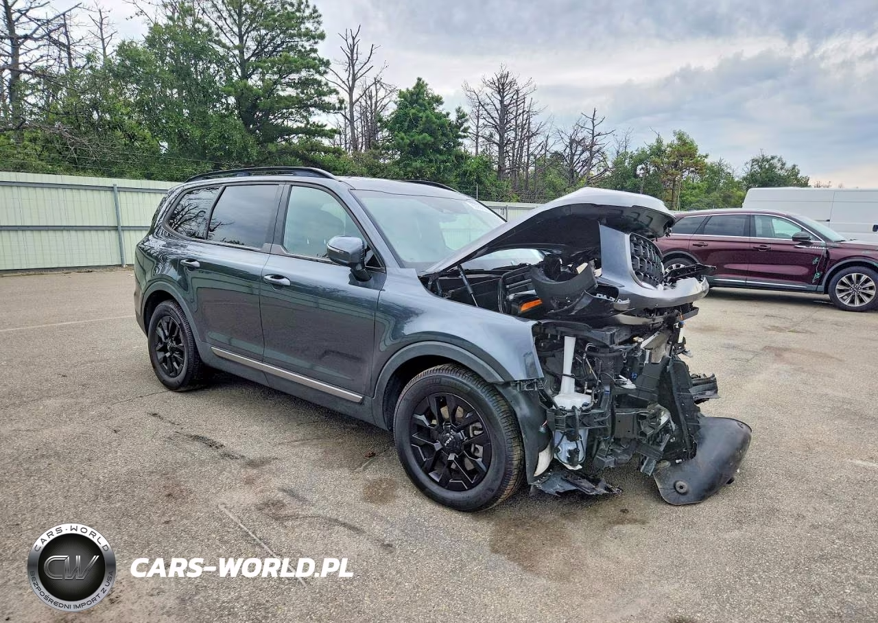 2023 Kia Telluride Sx-Prestige X-Pro VIN:5XYP5DGC6PG339583 - 4