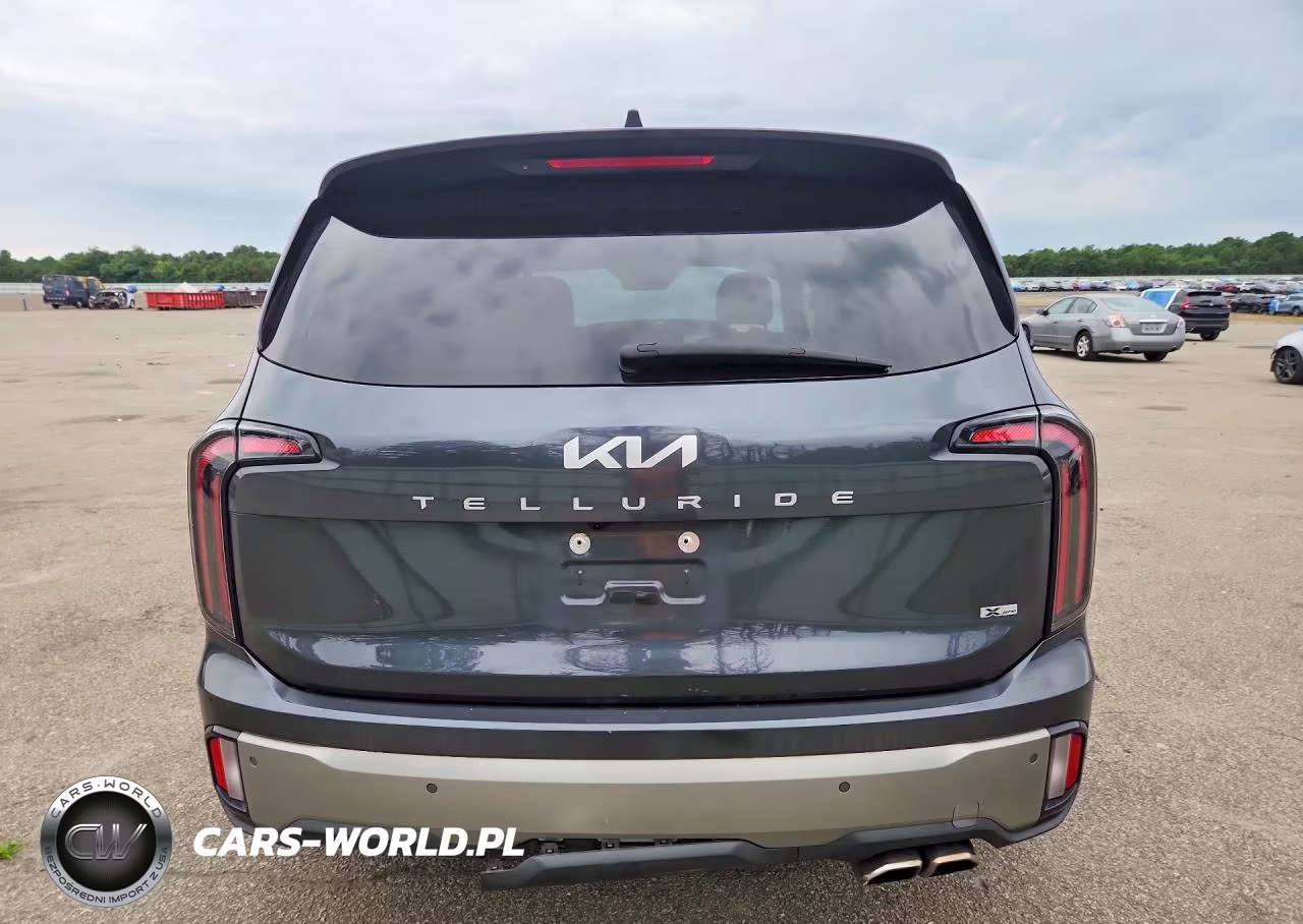 2023 Kia Telluride Sx-Prestige X-Pro VIN:5XYP5DGC6PG339583 - 6