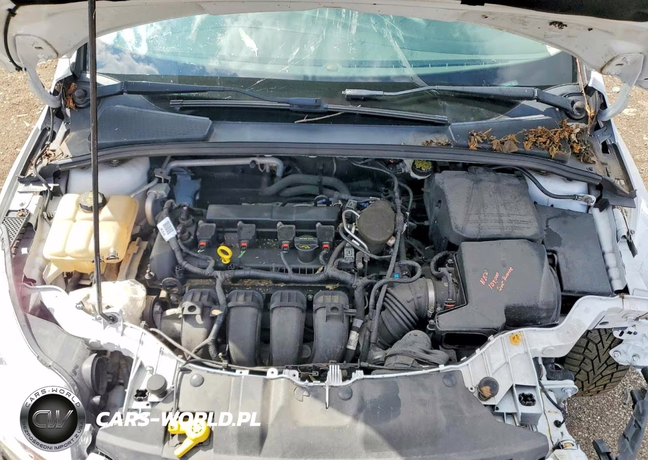 2014 Ford Focus Se VIN:1FADP3F24EL286342 - 11