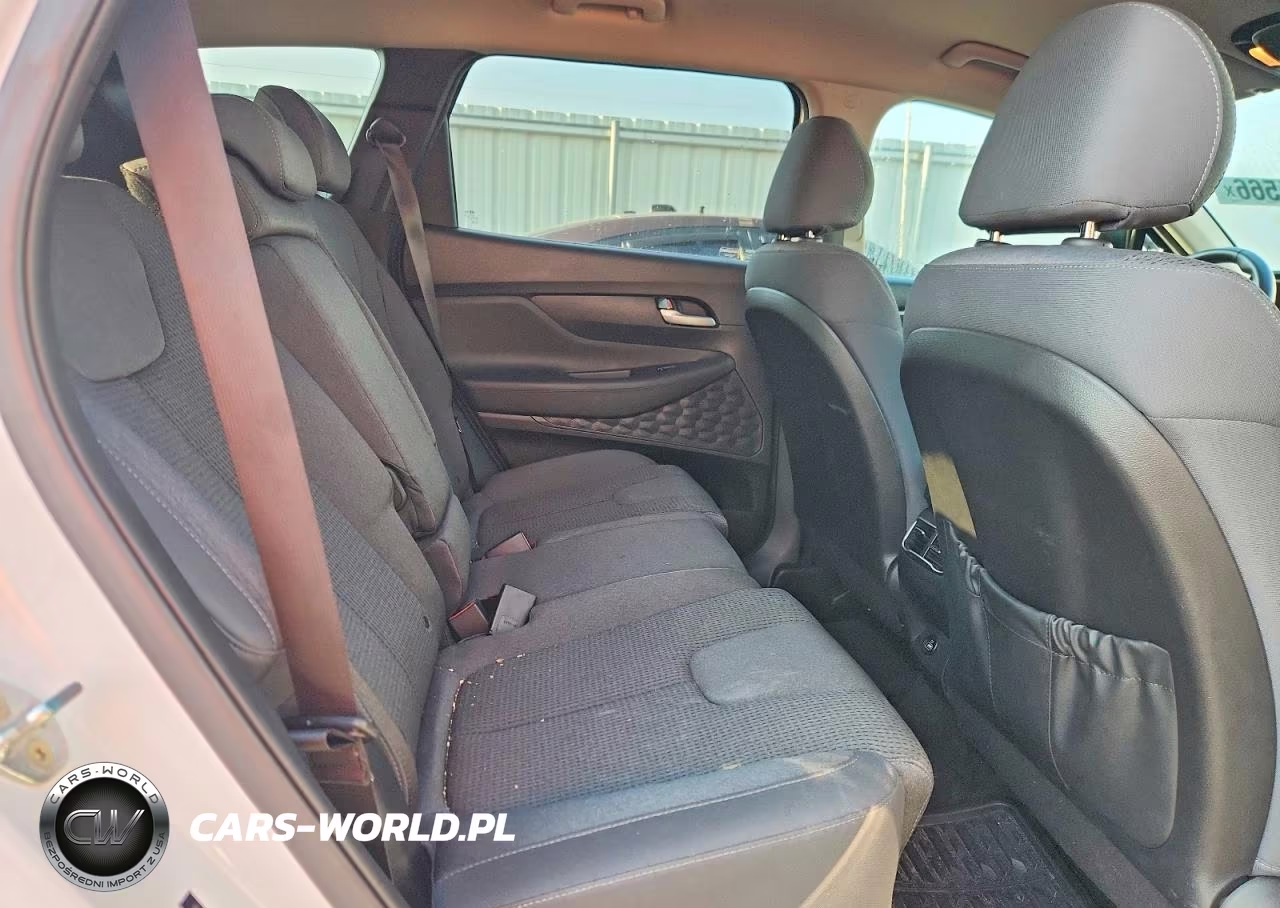 2023 Hyundai Santa Fe Sel VIN:5NMS24AJ1PH546186 - 10