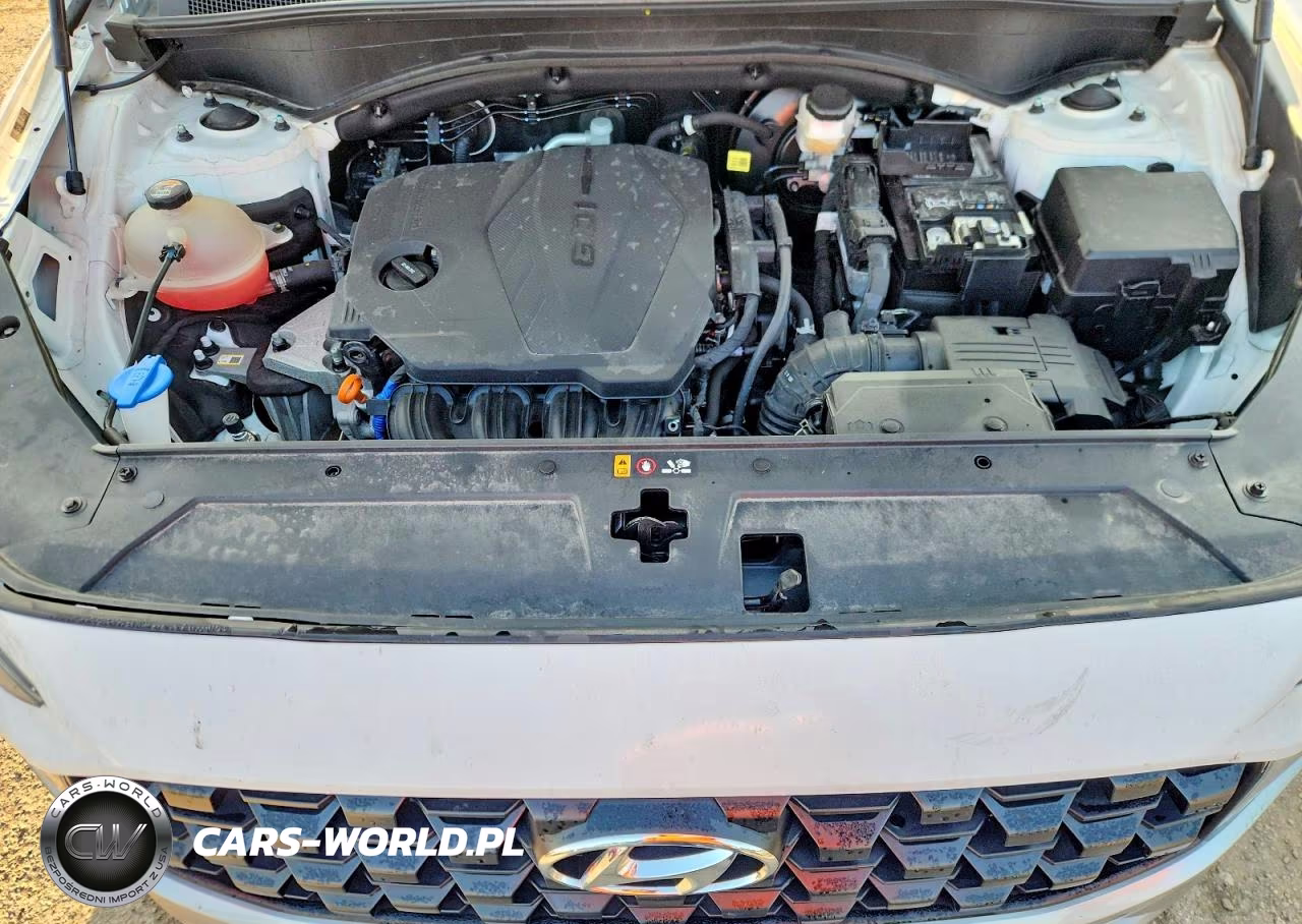 2023 Hyundai Santa Fe Sel VIN:5NMS24AJ1PH546186 - 11
