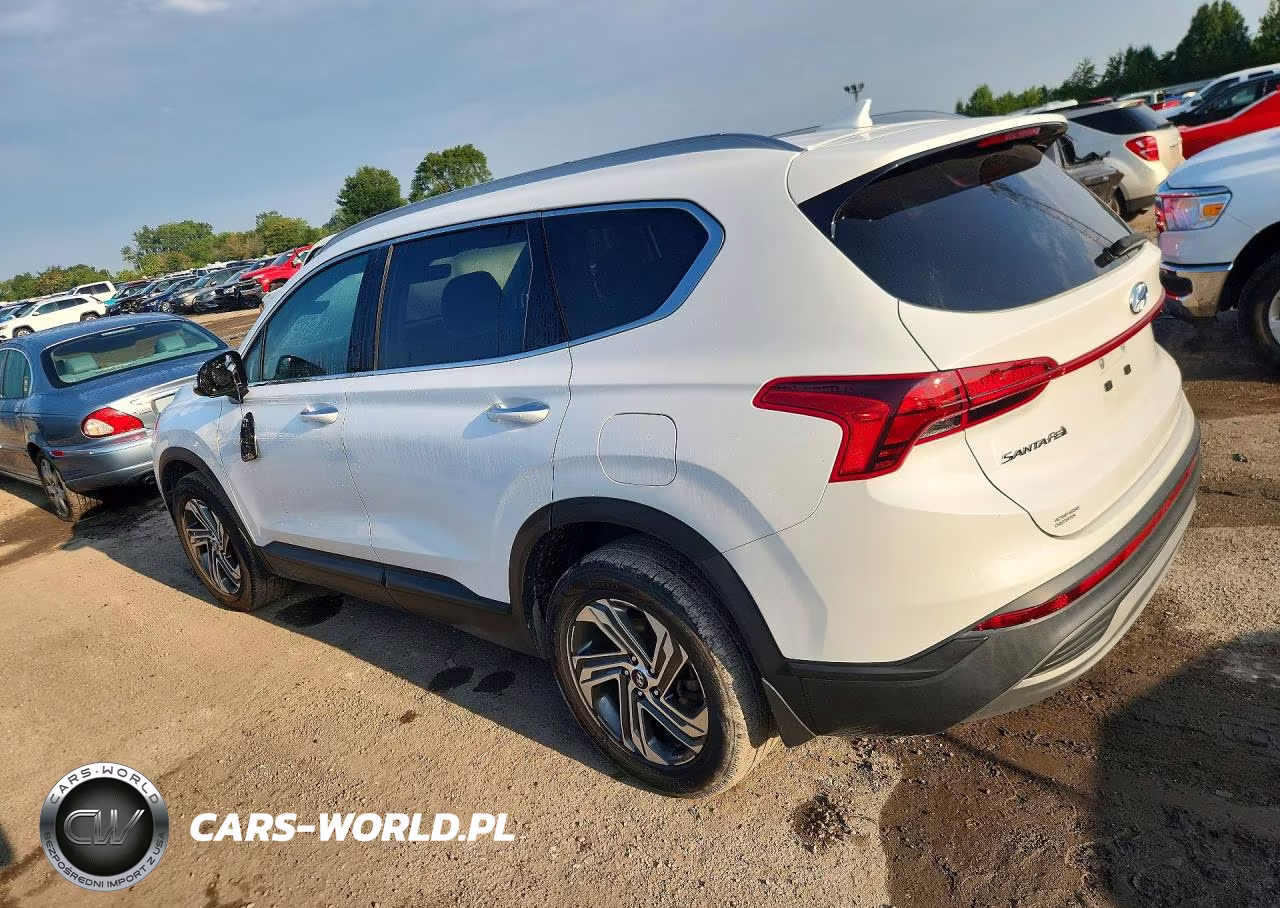 2023 Hyundai Santa Fe Sel VIN:5NMS24AJ1PH546186 - 2