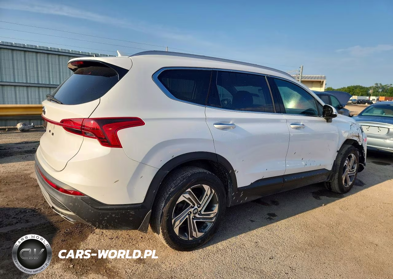 2023 Hyundai Santa Fe Sel VIN:5NMS24AJ1PH546186 - 3