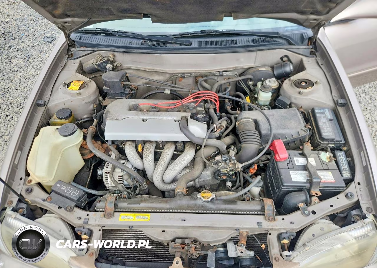 1998 Toyota Corolla Ve VIN:2T1BR18E6WC073375 - 11