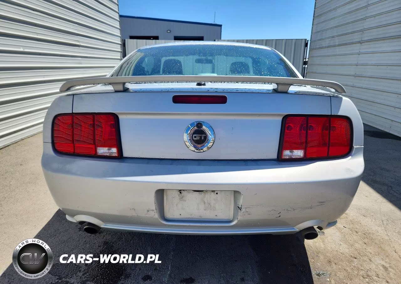 2008 Ford Mustang Gt VIN:1ZVHT82H385152555 - 6