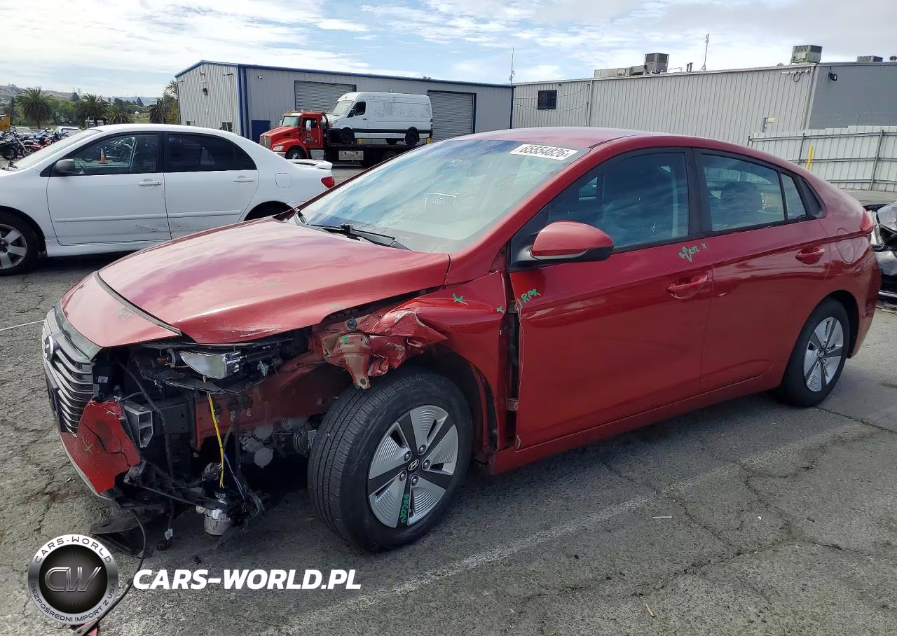 2019 Hyundai Ioniq Blue VIN:KMHC65LC2KU110456 - 1