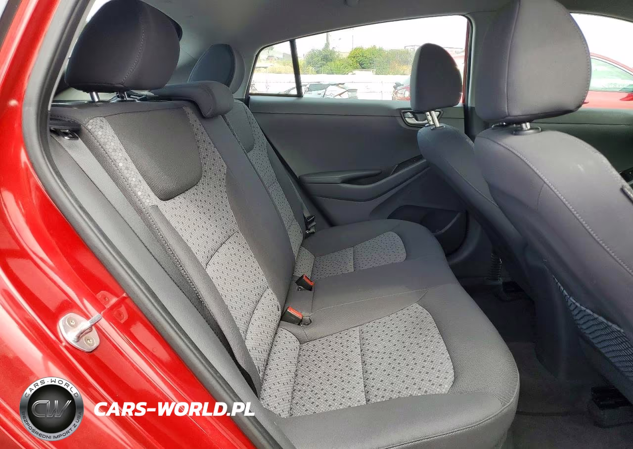 2019 Hyundai Ioniq Blue VIN:KMHC65LC2KU110456 - 10