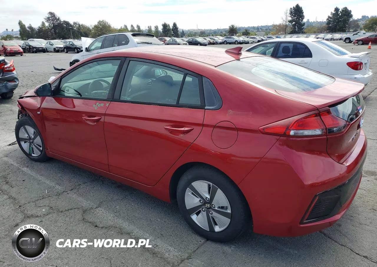 2019 Hyundai Ioniq Blue VIN:KMHC65LC2KU110456 - 2