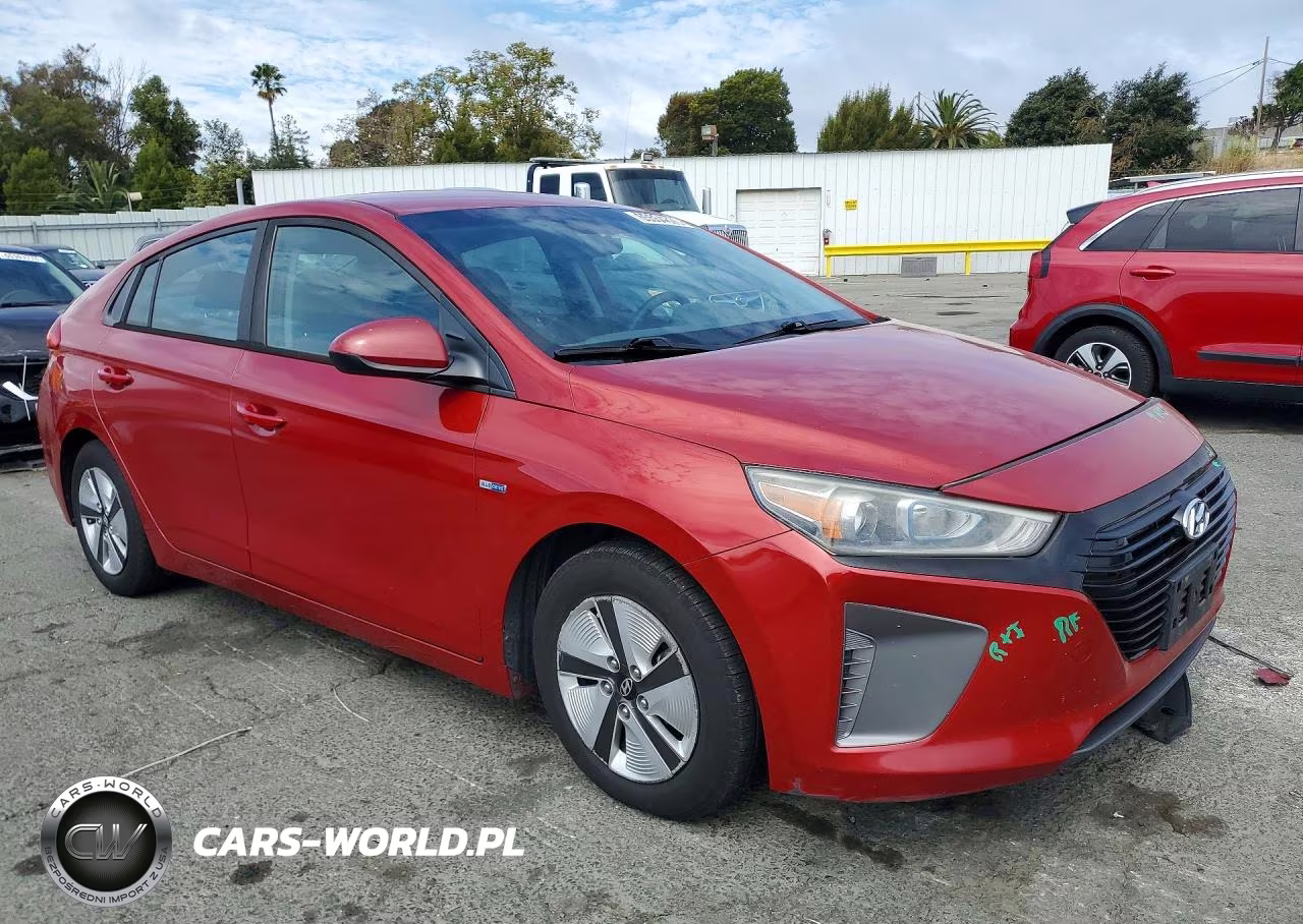2019 Hyundai Ioniq Blue VIN:KMHC65LC2KU110456 - 4