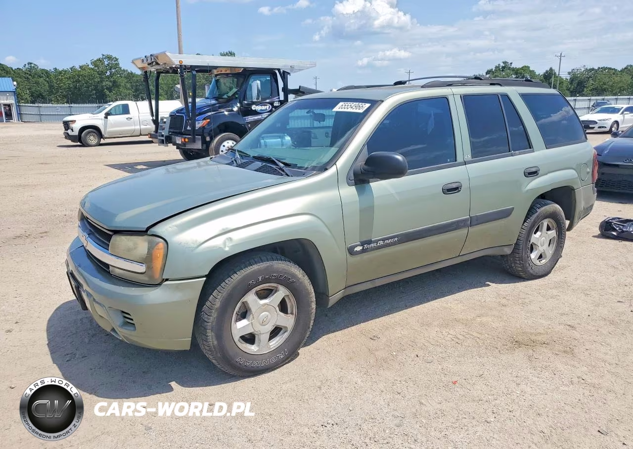 2003 Chevrolet Trailblazer VIN:1GNDS13S732354774 - 1