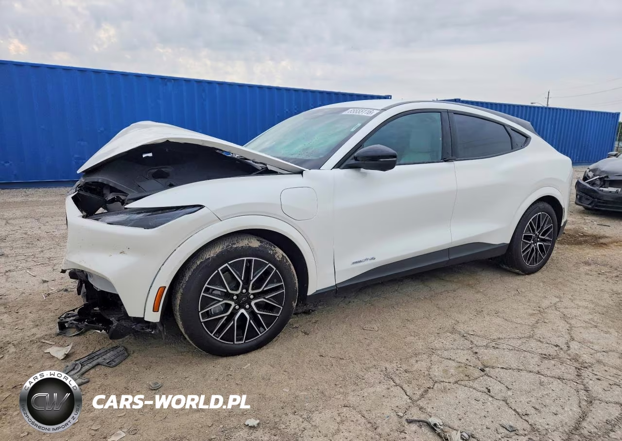 2025 Ford Mustang Mach-E Premium VIN:3FMTK3SU2SMA41492 - 1