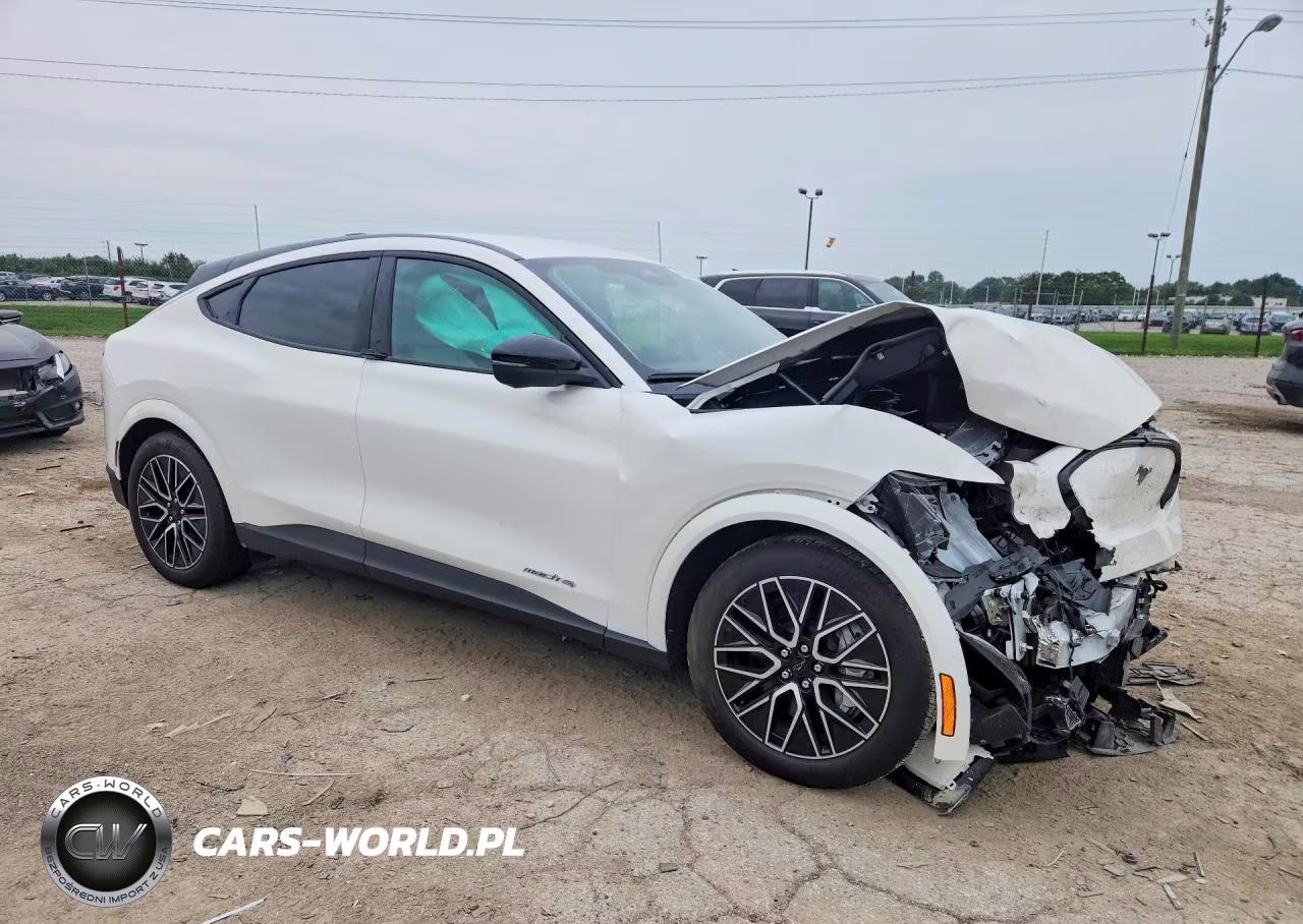 2025 Ford Mustang Mach-E Premium VIN:3FMTK3SU2SMA41492 - 4