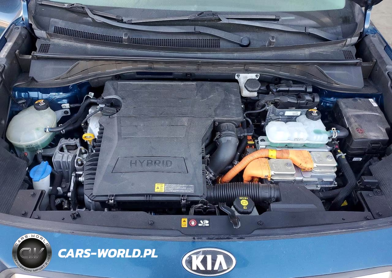 2019 Kia Niro Lx VIN:KNDCB3LC0K5317992 - 12