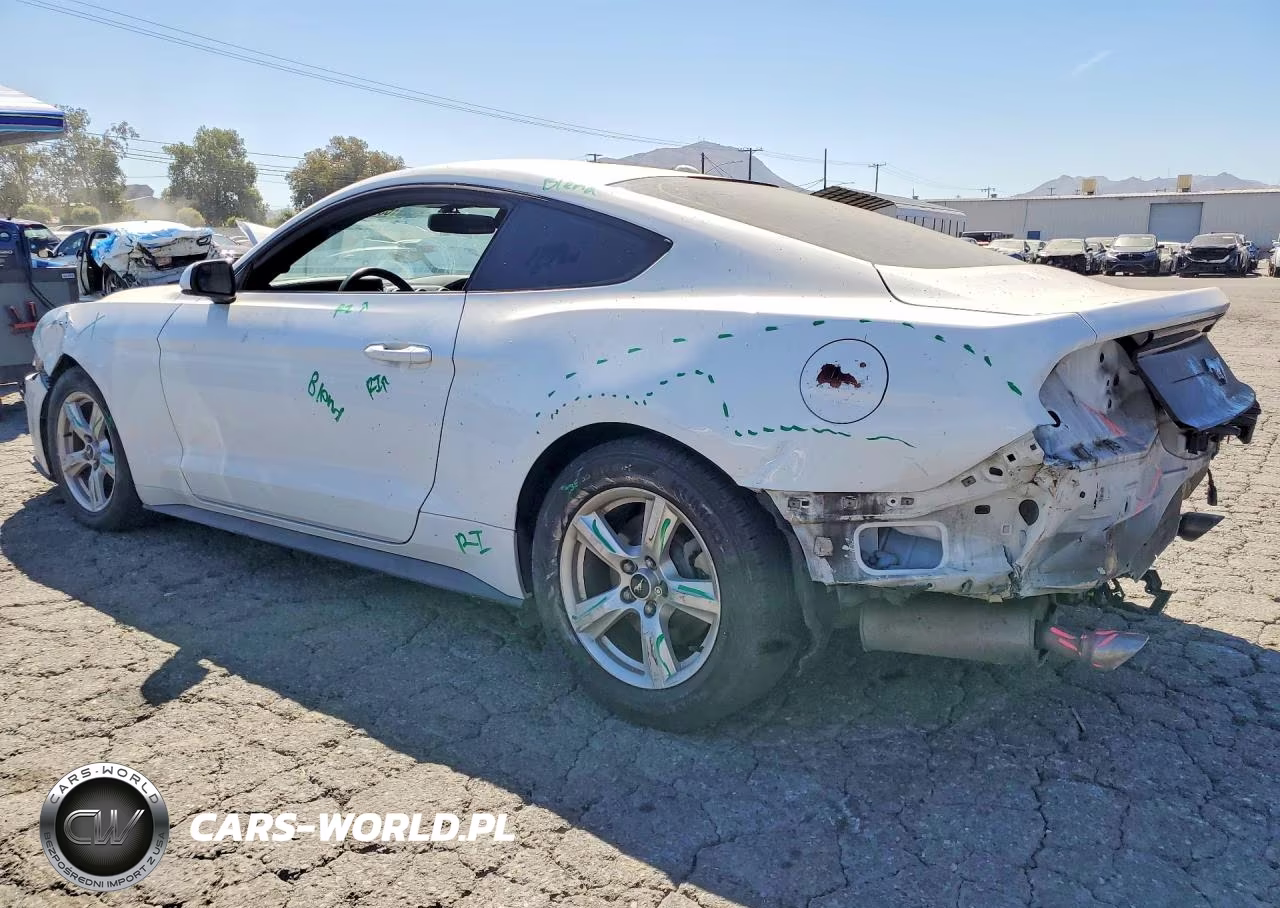 2019 Ford Mustang VIN:1FA6P8TH2K5118830 - 2