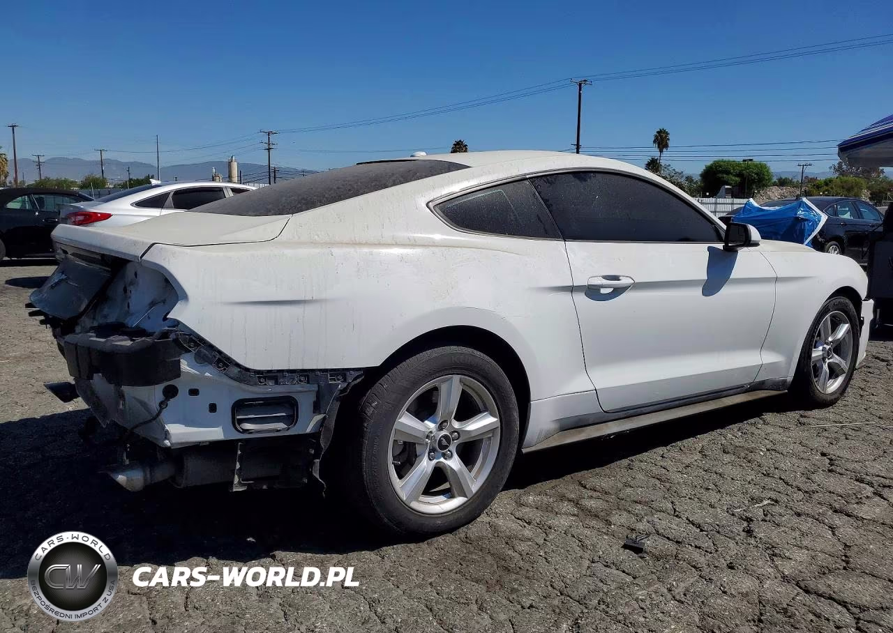 2019 Ford Mustang VIN:1FA6P8TH2K5118830 - 3